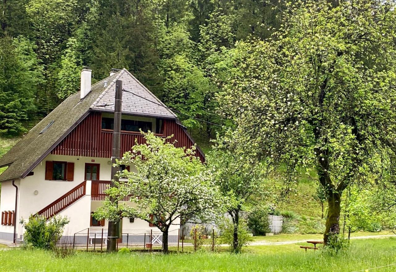 Apartment Jozi Soča Екстериор снимка