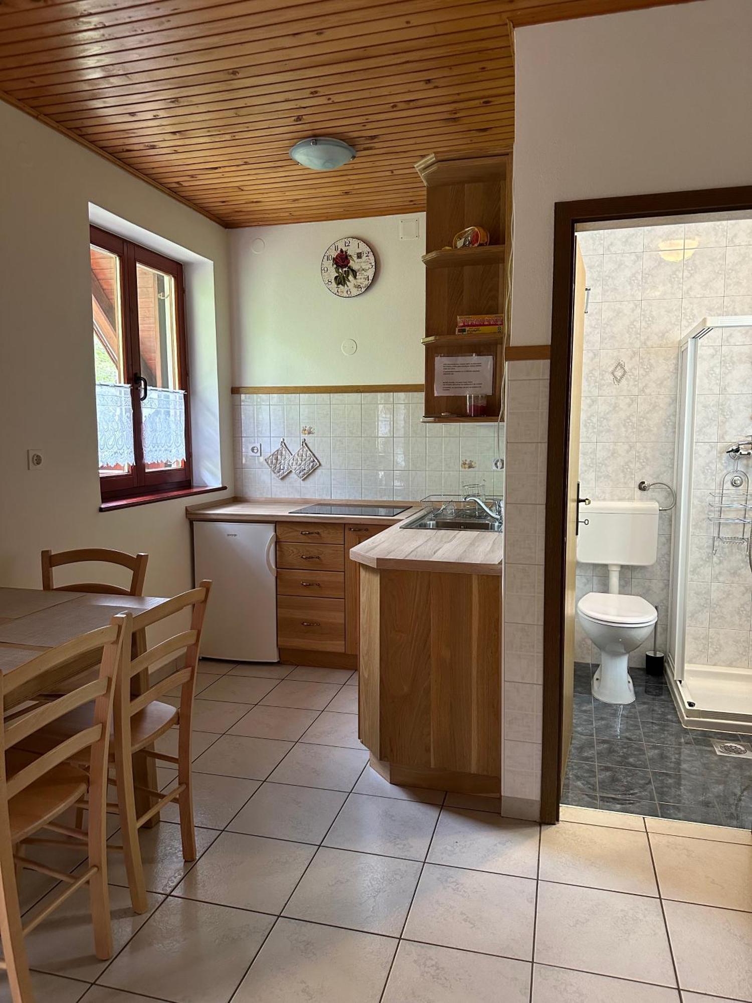 Apartment Jozi Soča Стая снимка